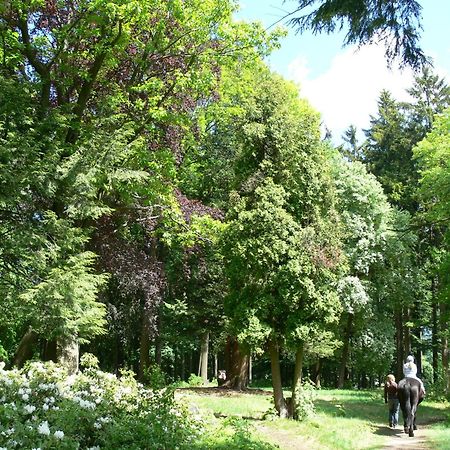 Parkhotel Smržovka المظهر الخارجي الصورة