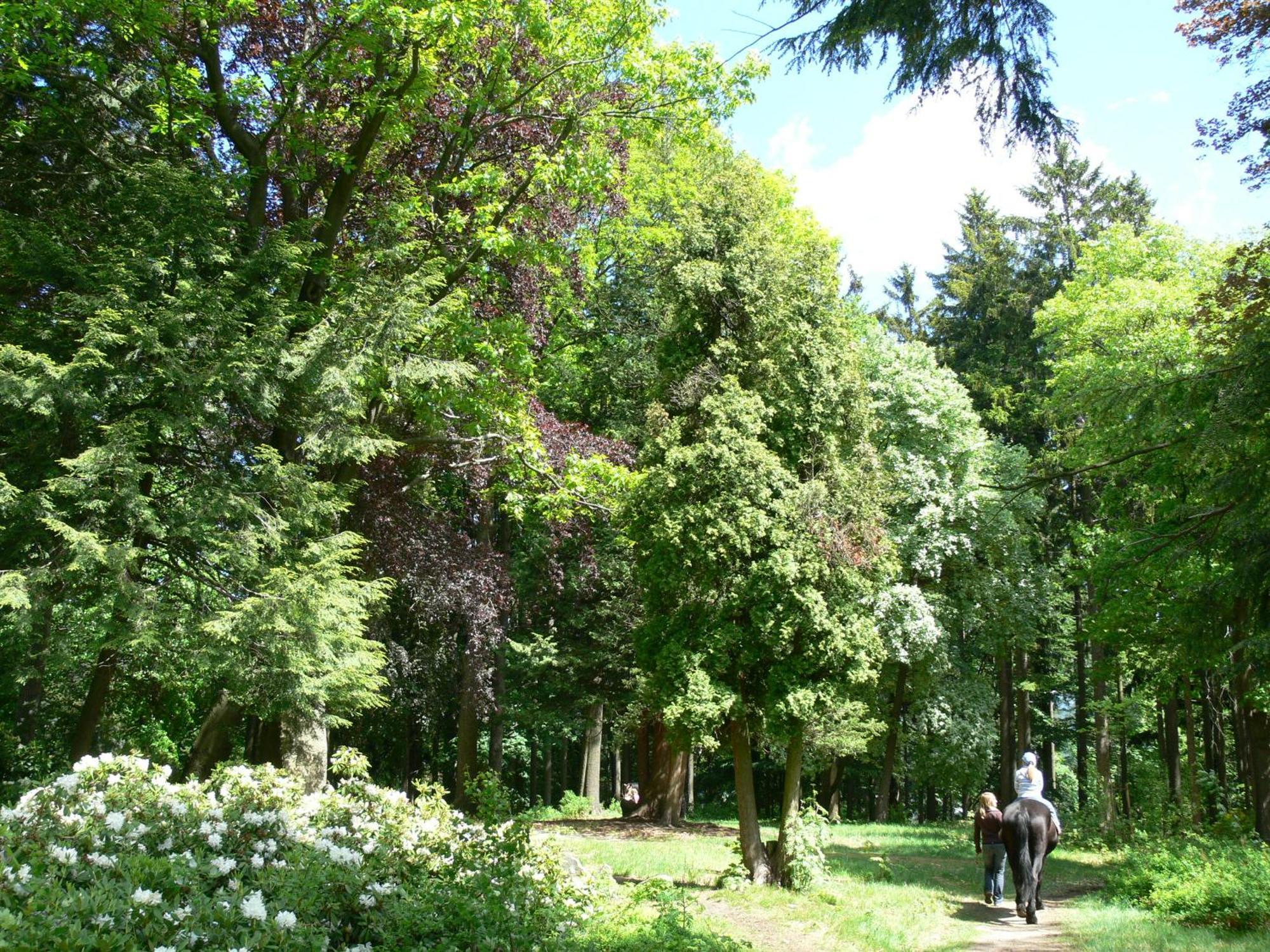 Parkhotel Smržovka المظهر الخارجي الصورة
